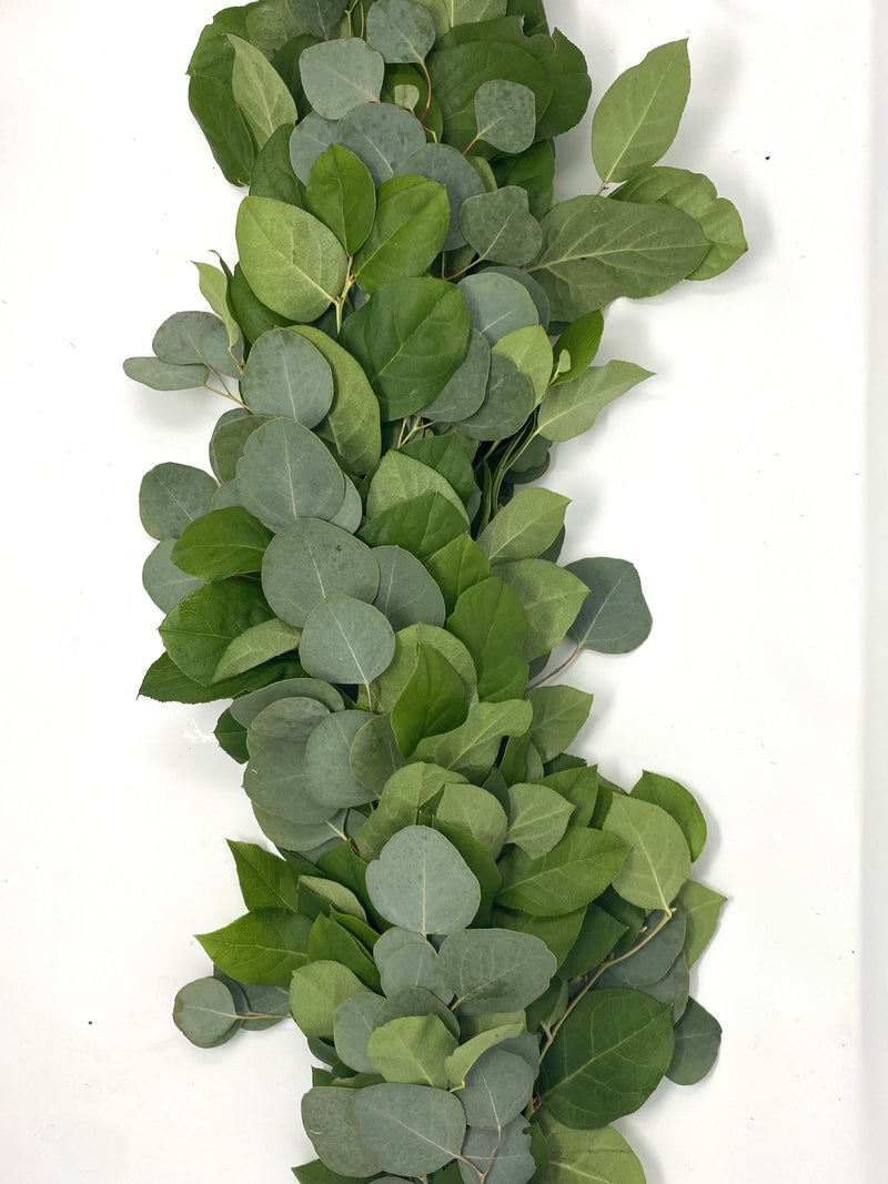 Salal and Silver Dollar Eucalyptus Garland