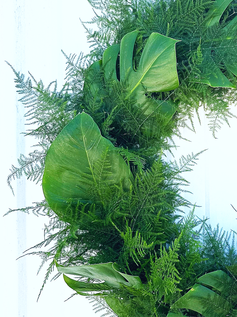 Plumosus & Monstera Wreath