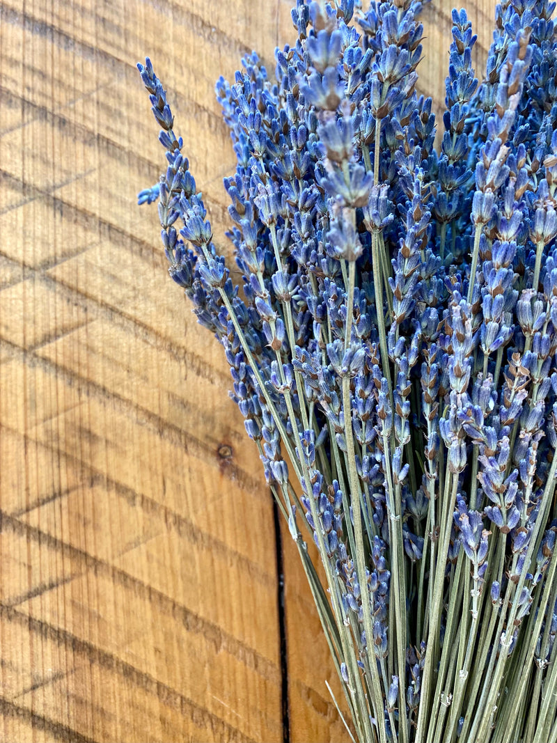Dried Lavender