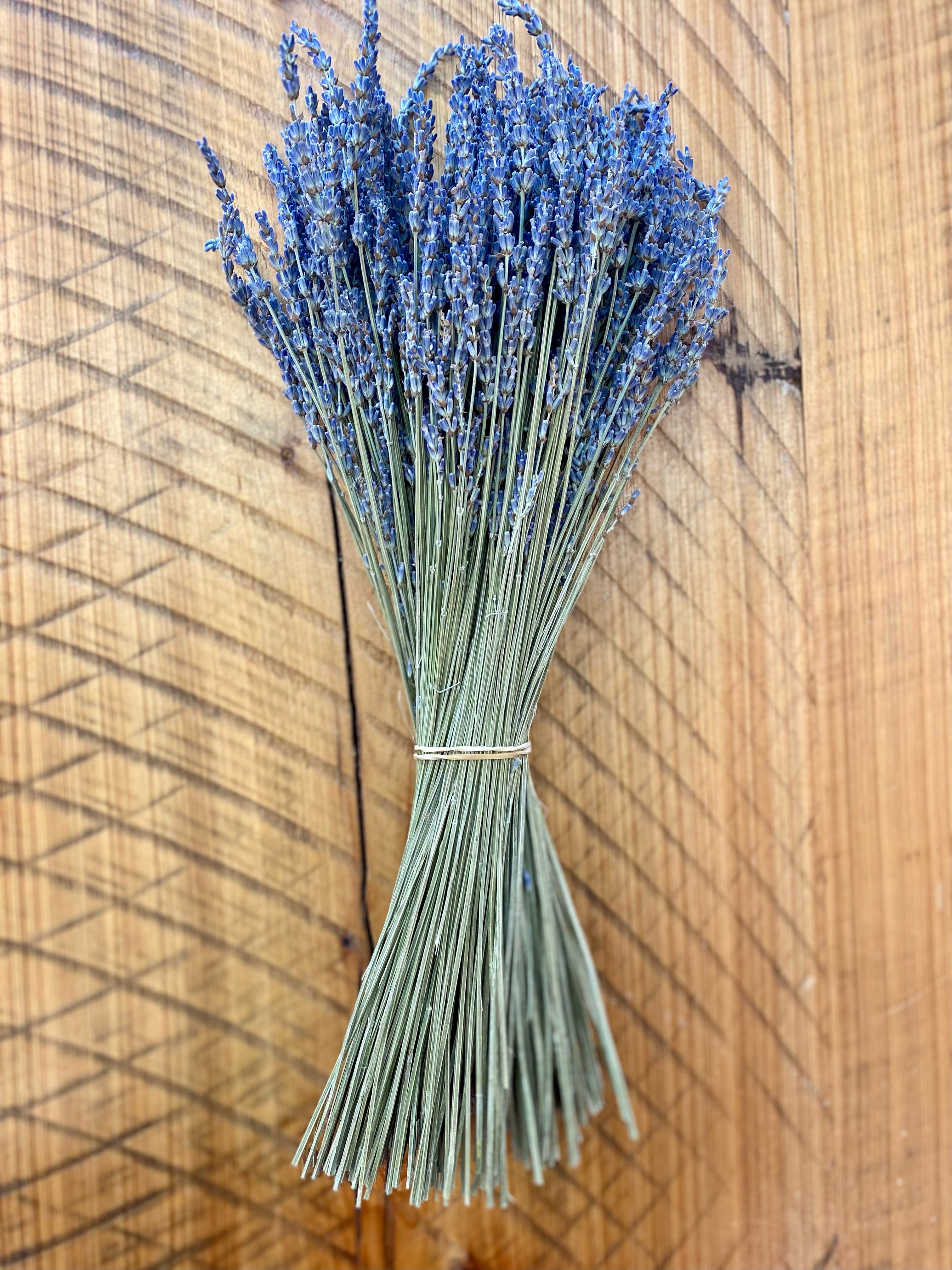 Dried Lavender – The Garland Guy