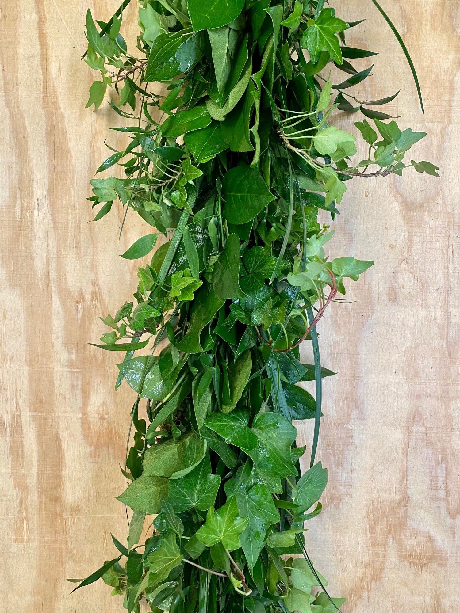 Salal, Italian Ruscus, Green Ivy, and Lilly Grass Garland.