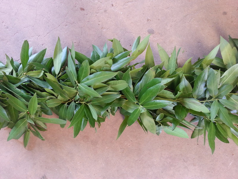 Bay Leaf Garland