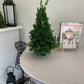 Table Top Boxwood Christmas Trees