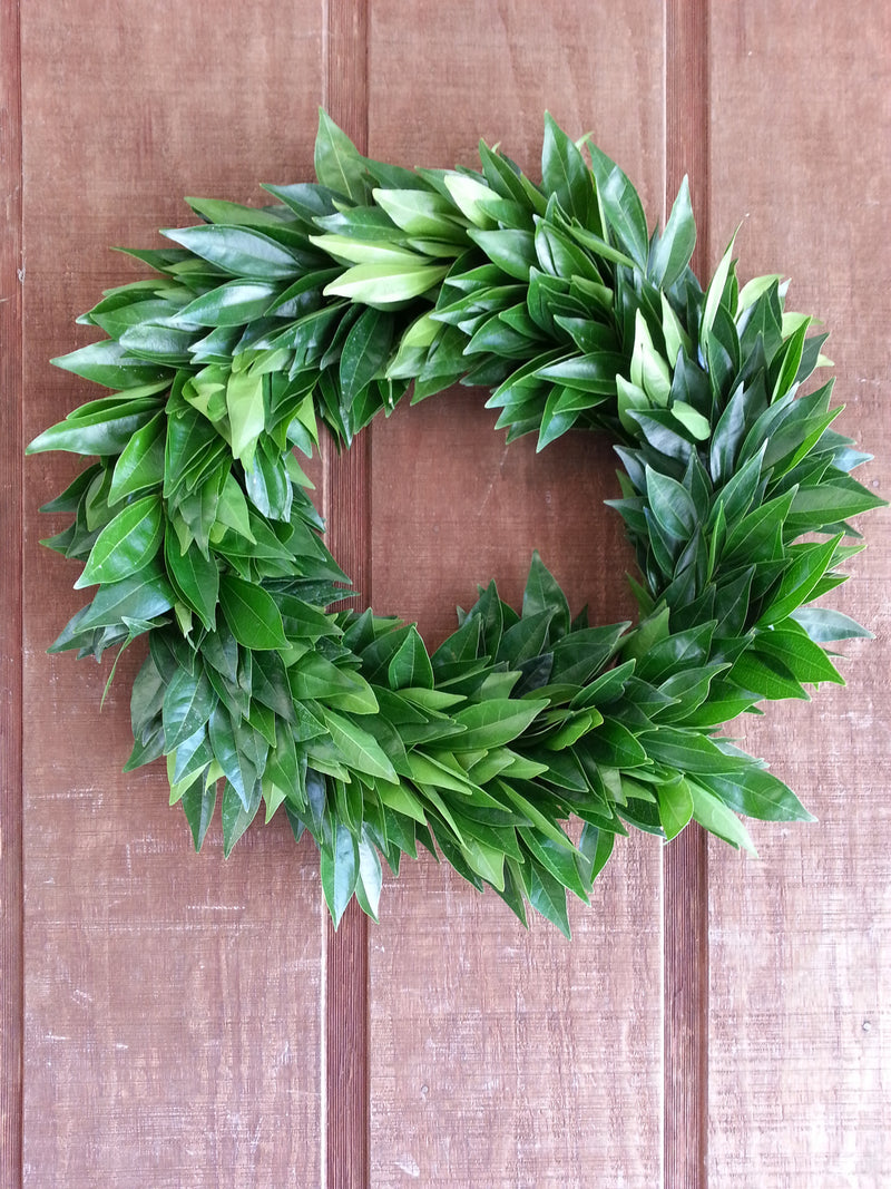 Cocculus Wreath