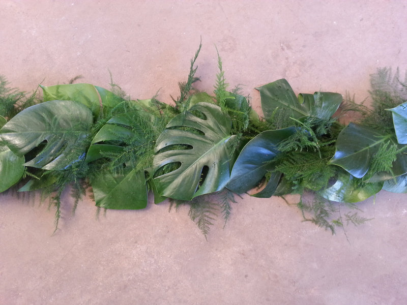 Monstera Leaf and Plumosus Garland