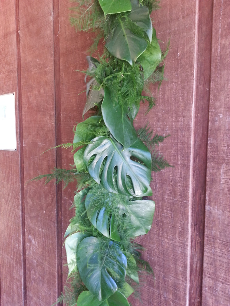 Monstera Plumosus Garland