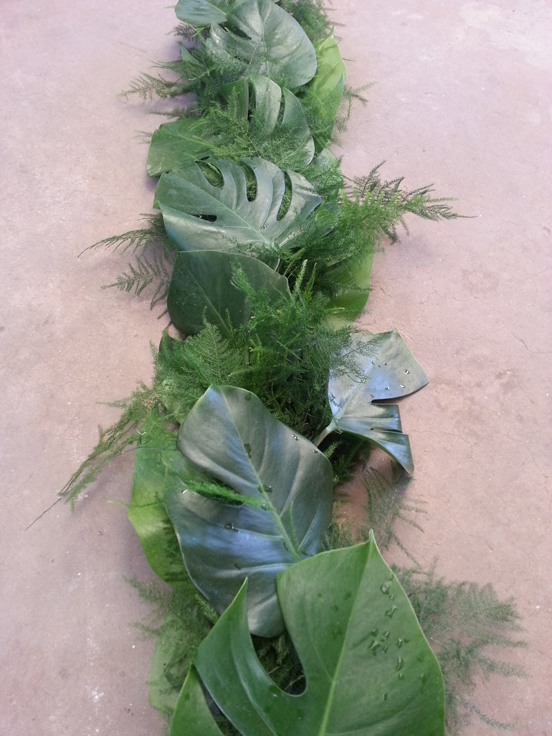Monstera Leaf and Plumosus Garland