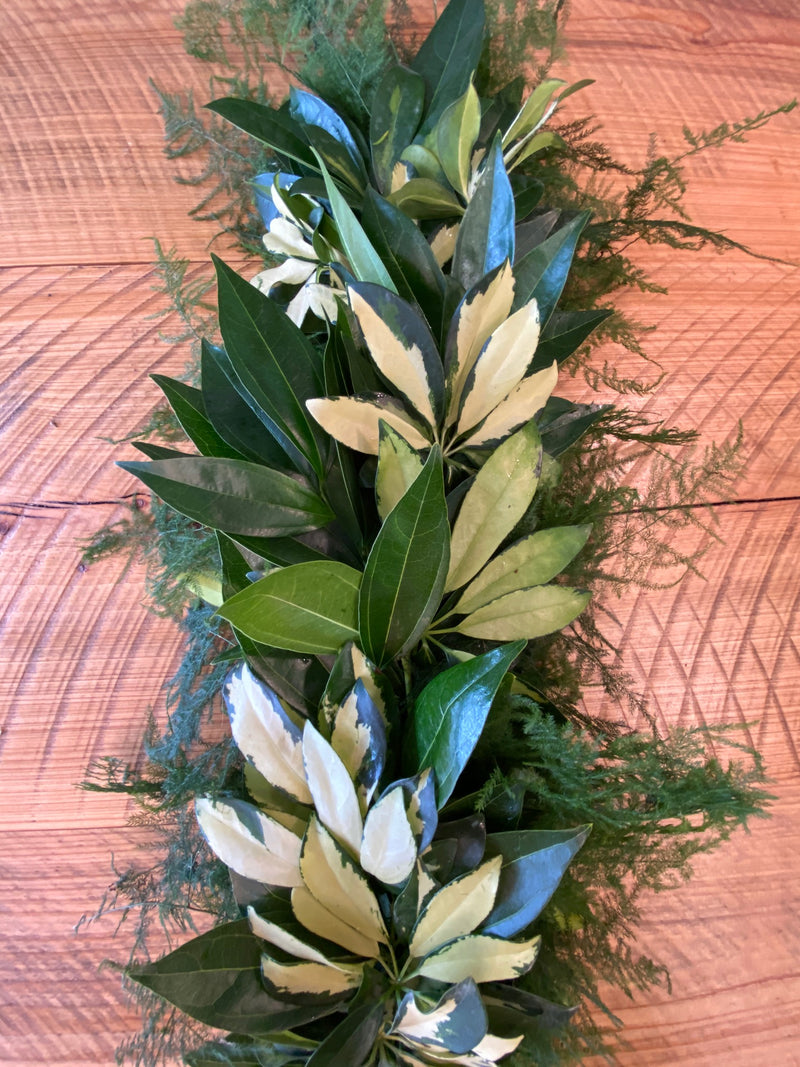 Scheffy, Cocculus, and Plumosa Garland