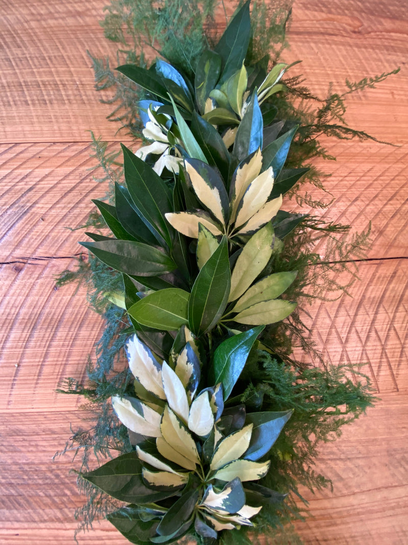 Scheffy, Cocculus, and Plumosa Garland