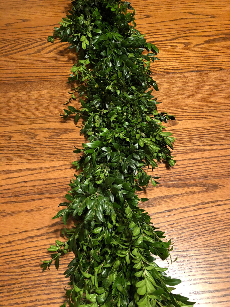 Boxwood Garland
