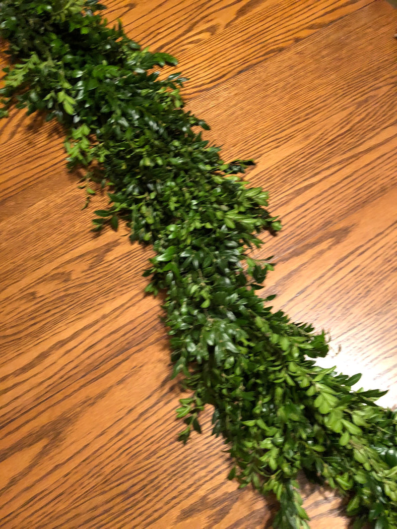 Boxwood Garland