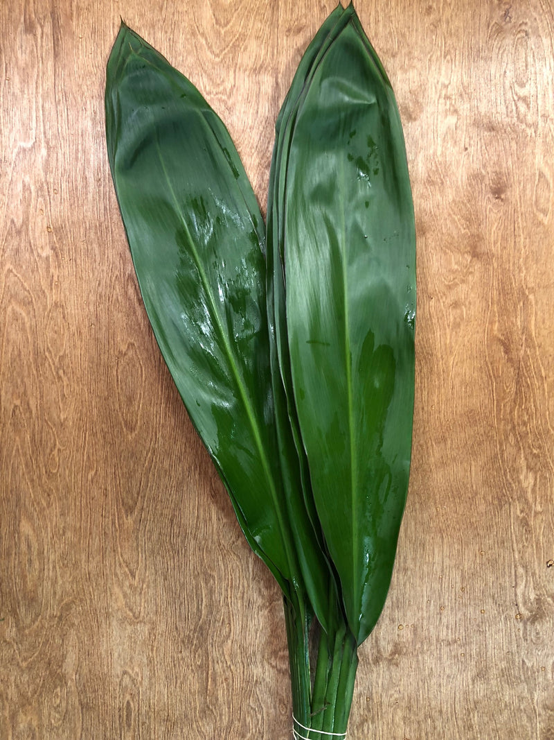 Green Ti Bunches