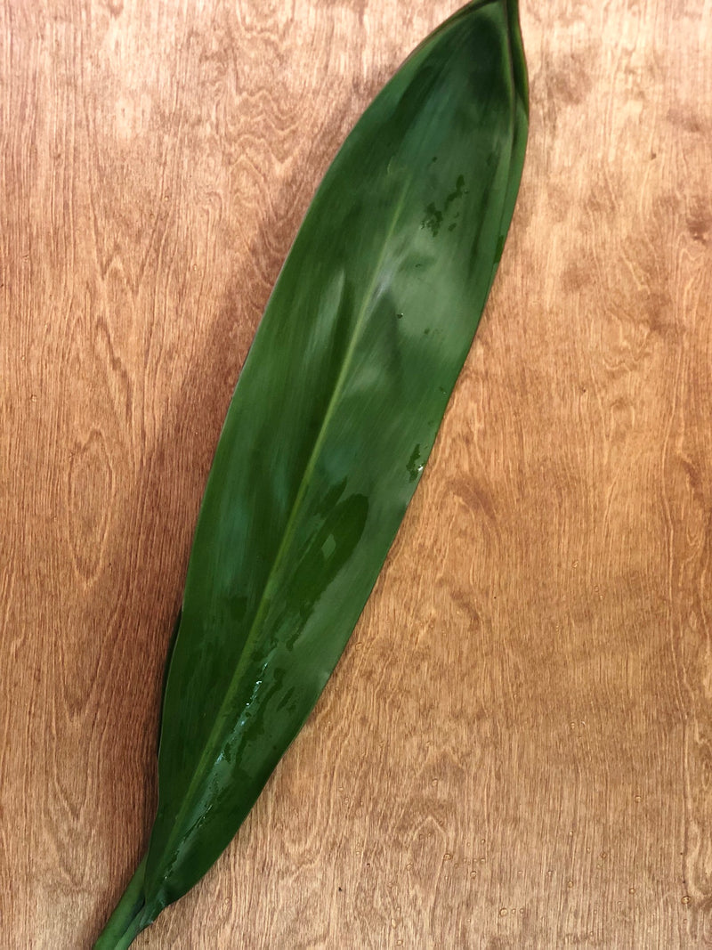 Green Ti Bunches