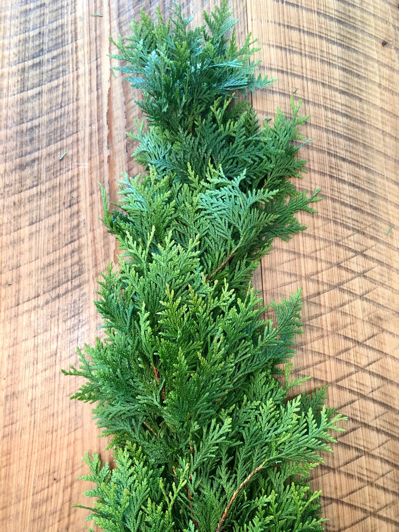 Arborvitae Garland