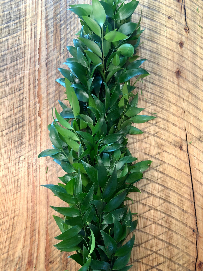 Nagi Garland
