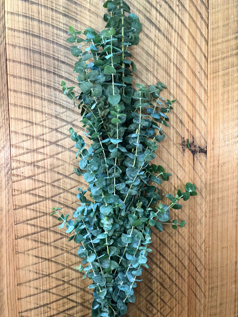 Baby Blue Eucalyptus Garland