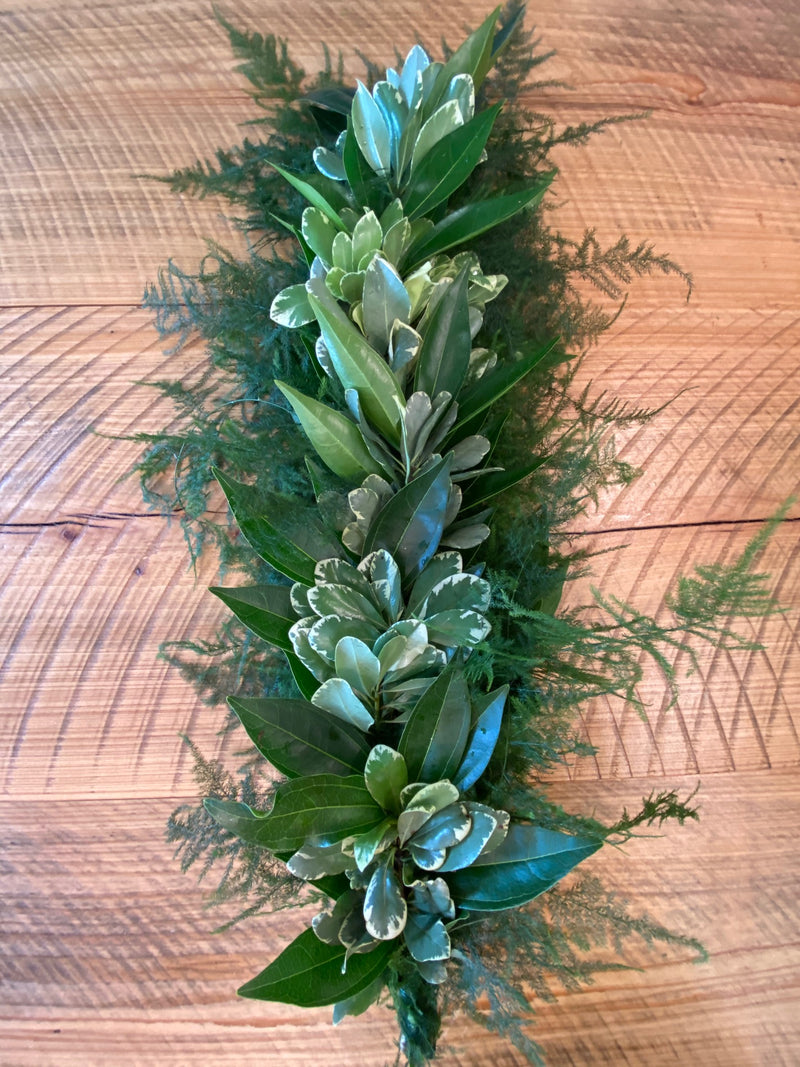 Plumosa, Cocculus, Variegated Pittosporum Garland
