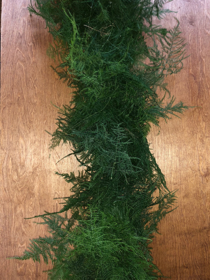 Classic Plumosa Garland (Asparagus Fern)