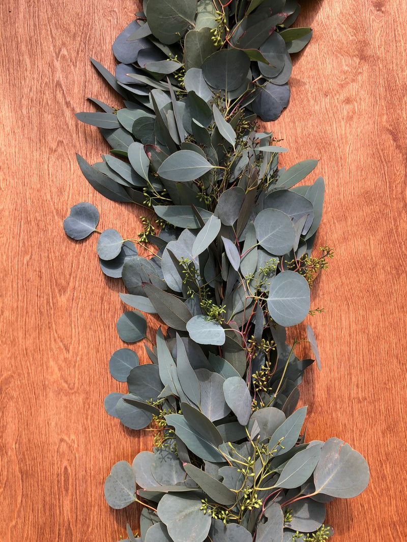 Seeded Eucalyptus and Silver Dollar Eucalyptus Garland