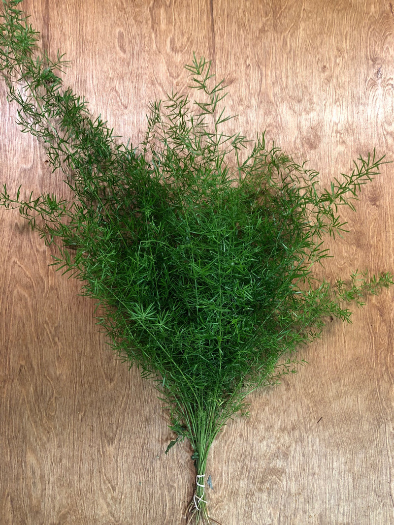 Springeri Bunches