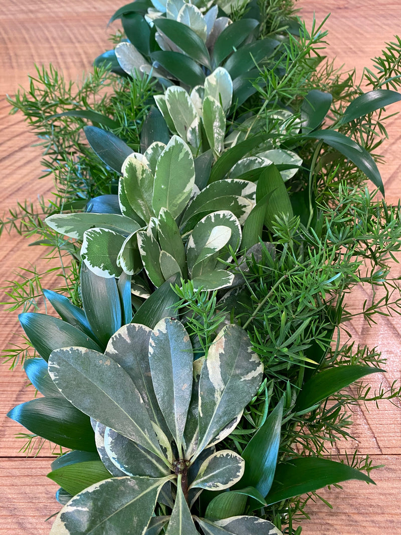 Springeri, Nagi, and Variegated Pittosporum Garland