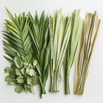 Palm Branches, Easter Sunday & More