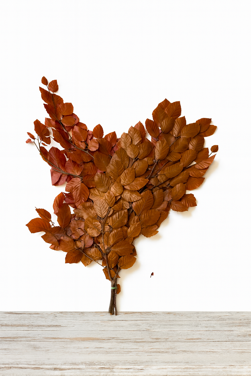 Copper Beech- Fall Preserved Leaves
