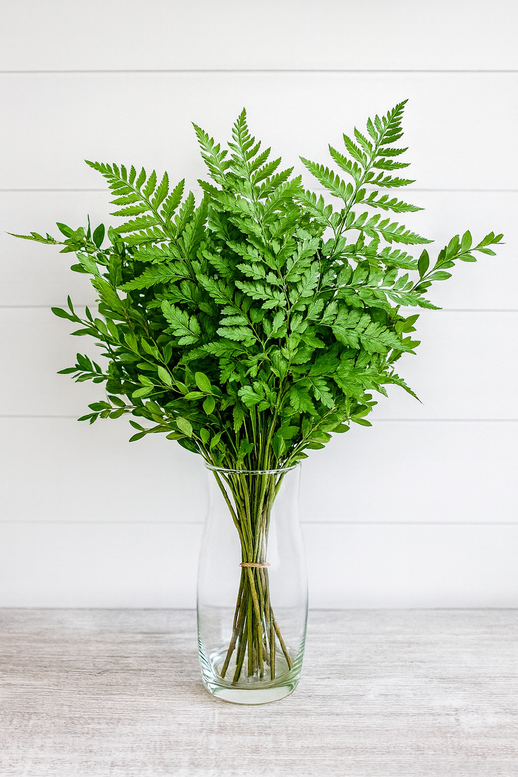 Leather Leaf Bunches