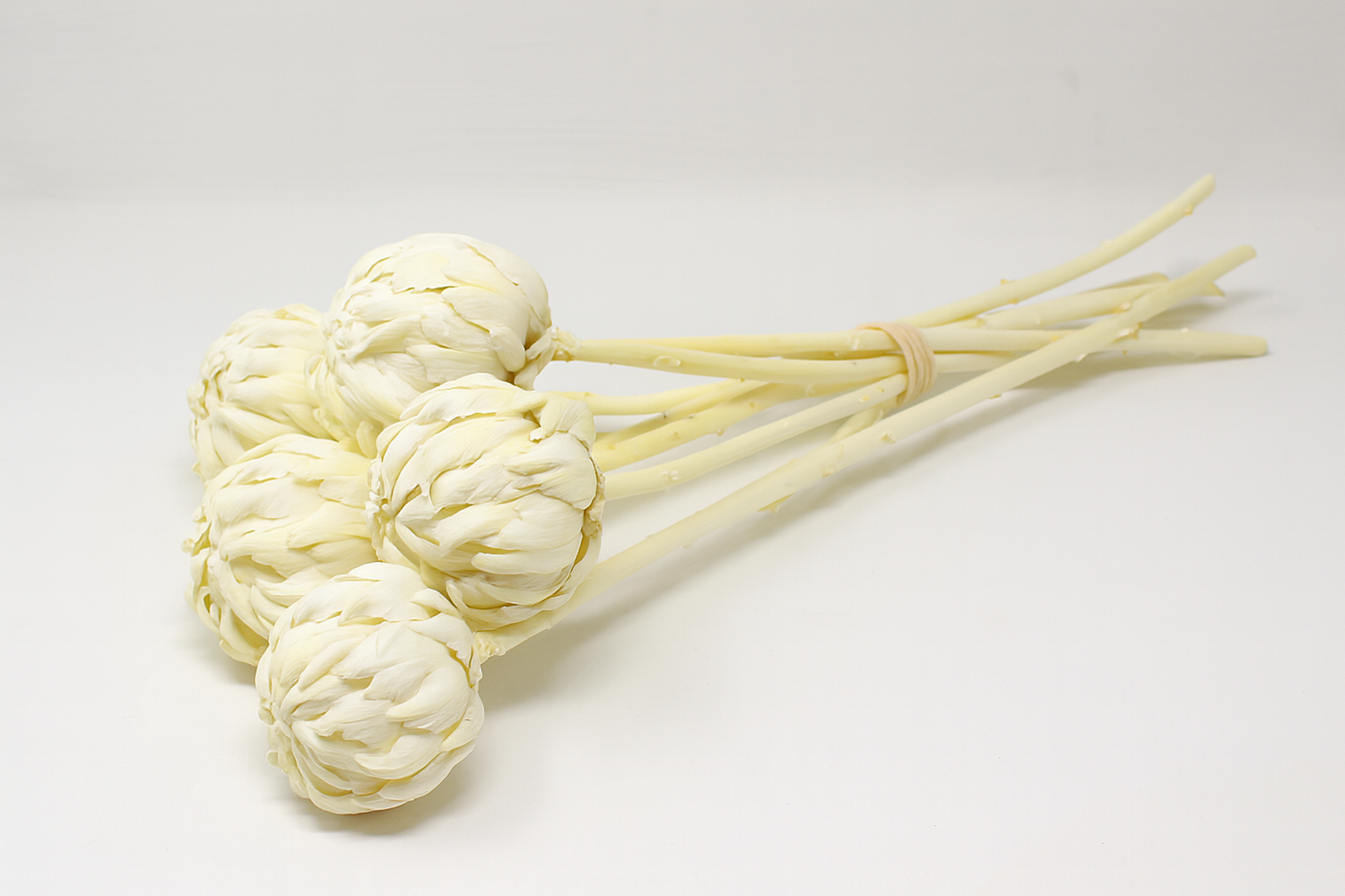 Bleached White Protea Flower Stems