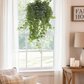 English Ivy Plant in Hanging Basket – Lush, Air-Purifying Indoor/Outdoor Greenery