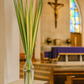Fresh Palm Strips, Bundle of 50 | Natural Palm Leaves for Palm Sunday, Easter Services, Religious Celebrations & Decorative Use