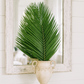 Roebellini Palm, Palm Sunday Palms