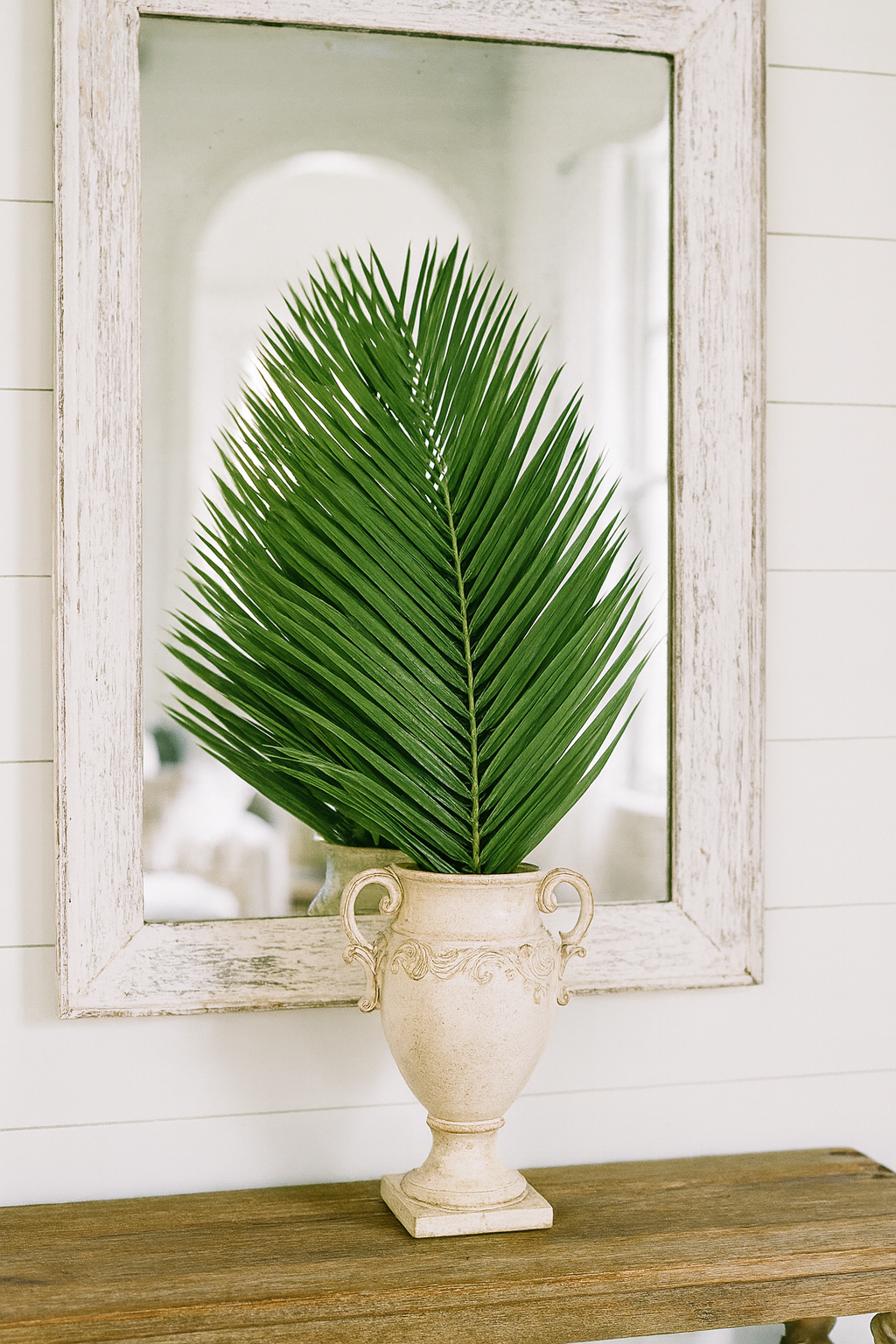 Roebellini Palm, Palm Sunday Palms