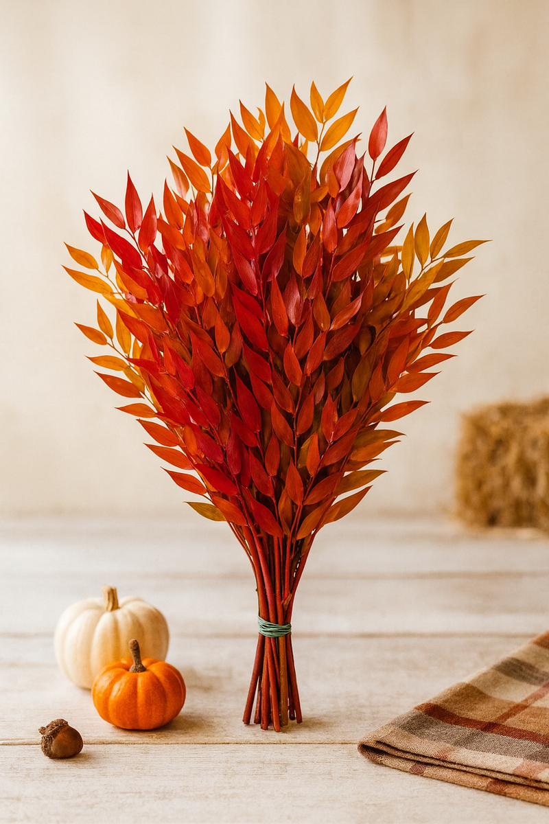 Fall Tinted Preserved Italian Ruscus