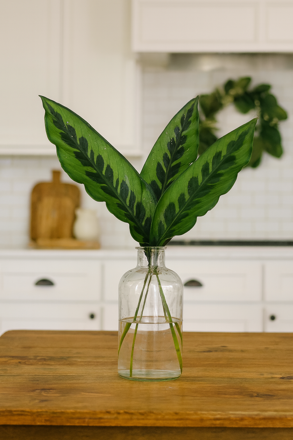 Concinna Leaf Bunches – 10 Stems of Elegant Green Foliage (12–16")