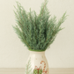 Carolina Sapphire Foliage Bunches – Fresh 8–10 Stem Bundle (24–30")