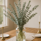 Baby Blue Eucalyptus Bunches