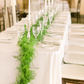 Classic Plumosus Garland (Asparagus Fern)