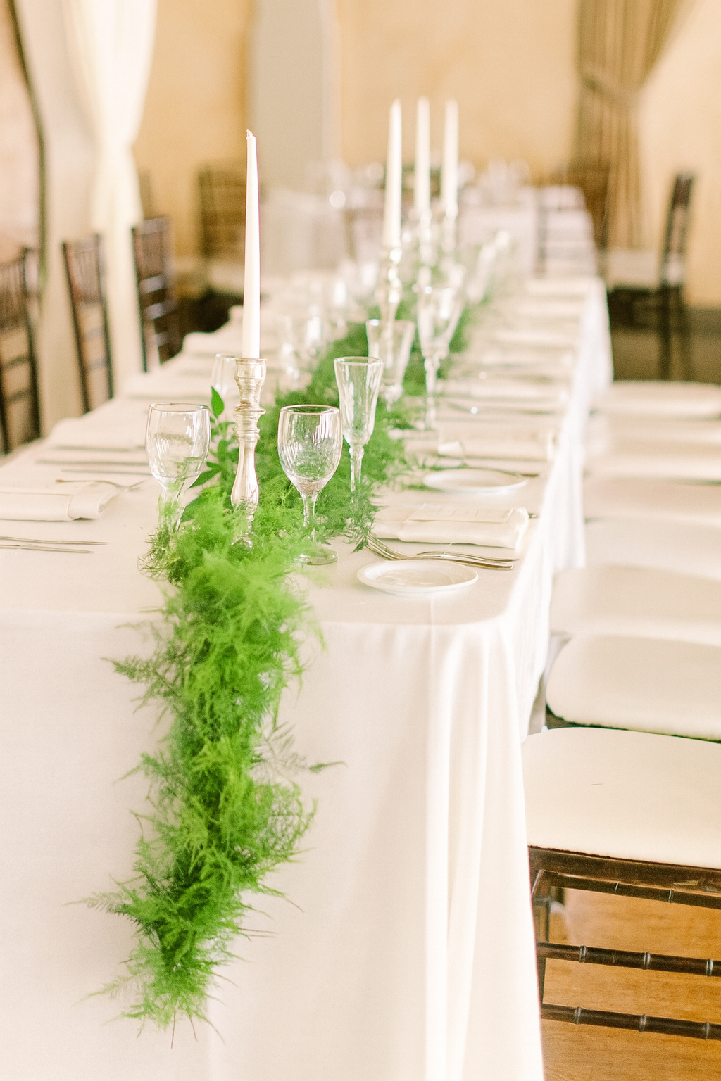 Classic Plumosus Garland (Asparagus Fern)
