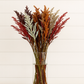 Preserved Solidago Fall Assorted Stems – Autumn Harvest Foliage Bunches 🍁✨