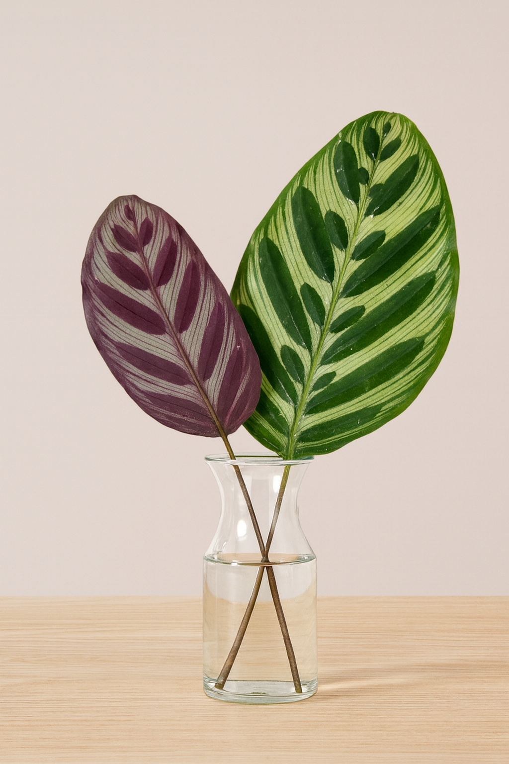 Opal Leaf Bunches – 5 Stems of Striking Green & Purple Foliage (7–10")