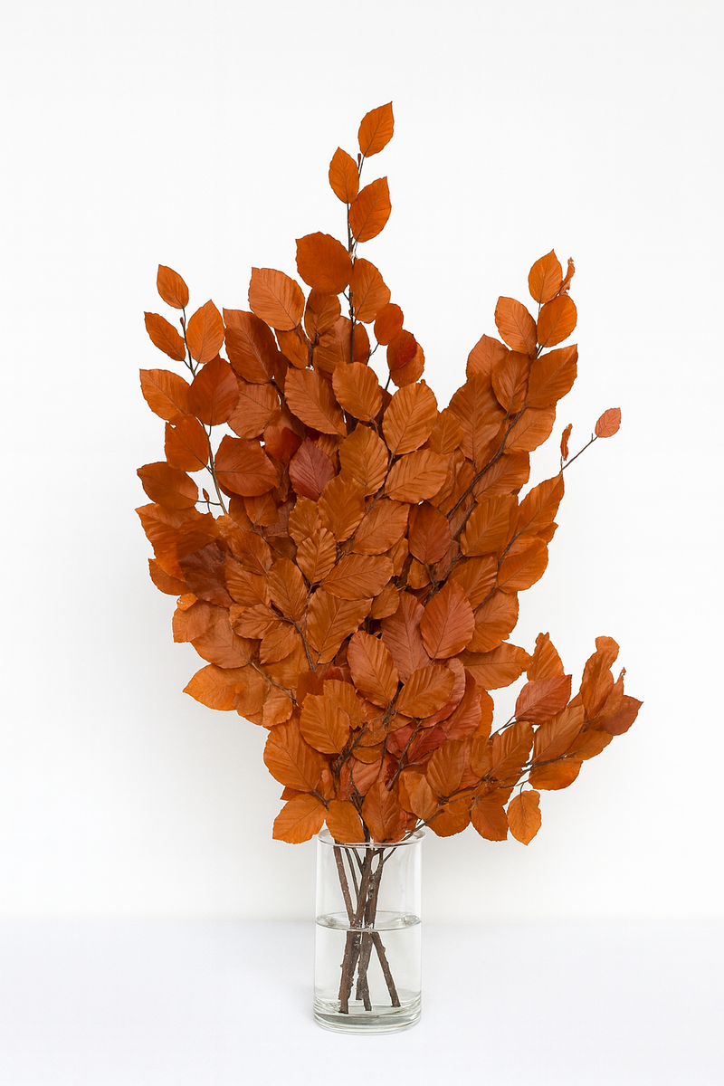 Copper Beech- Fall Preserved Leaves