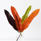 Croton Leaf Bunches – 10 Stems of Vibrant Tropical Color (8–10")