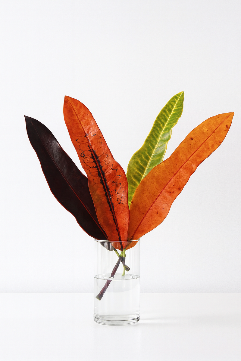 Croton Leaf Bunches – 10 Stems of Vibrant Tropical Color (8–10")