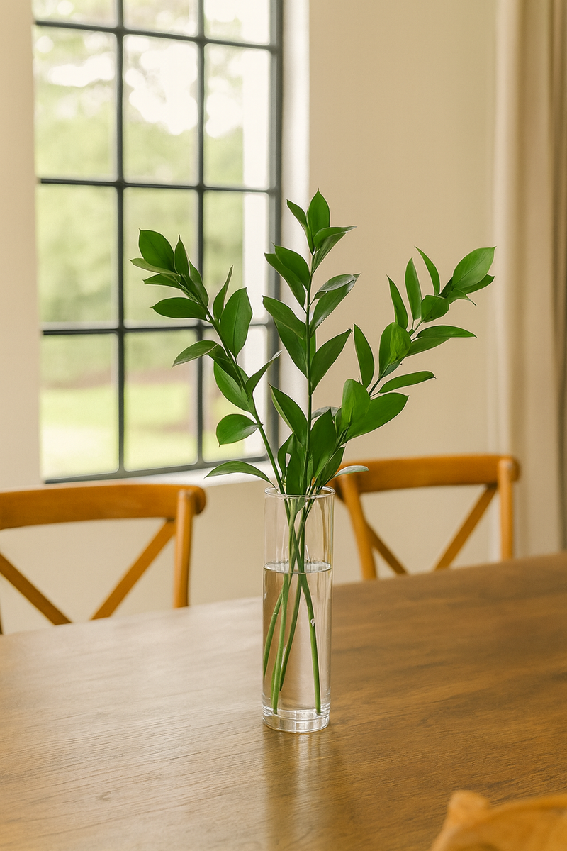 Israeli Ruscus Bunches – Long-Lasting, Hardy Greenery for Weddings & Décor