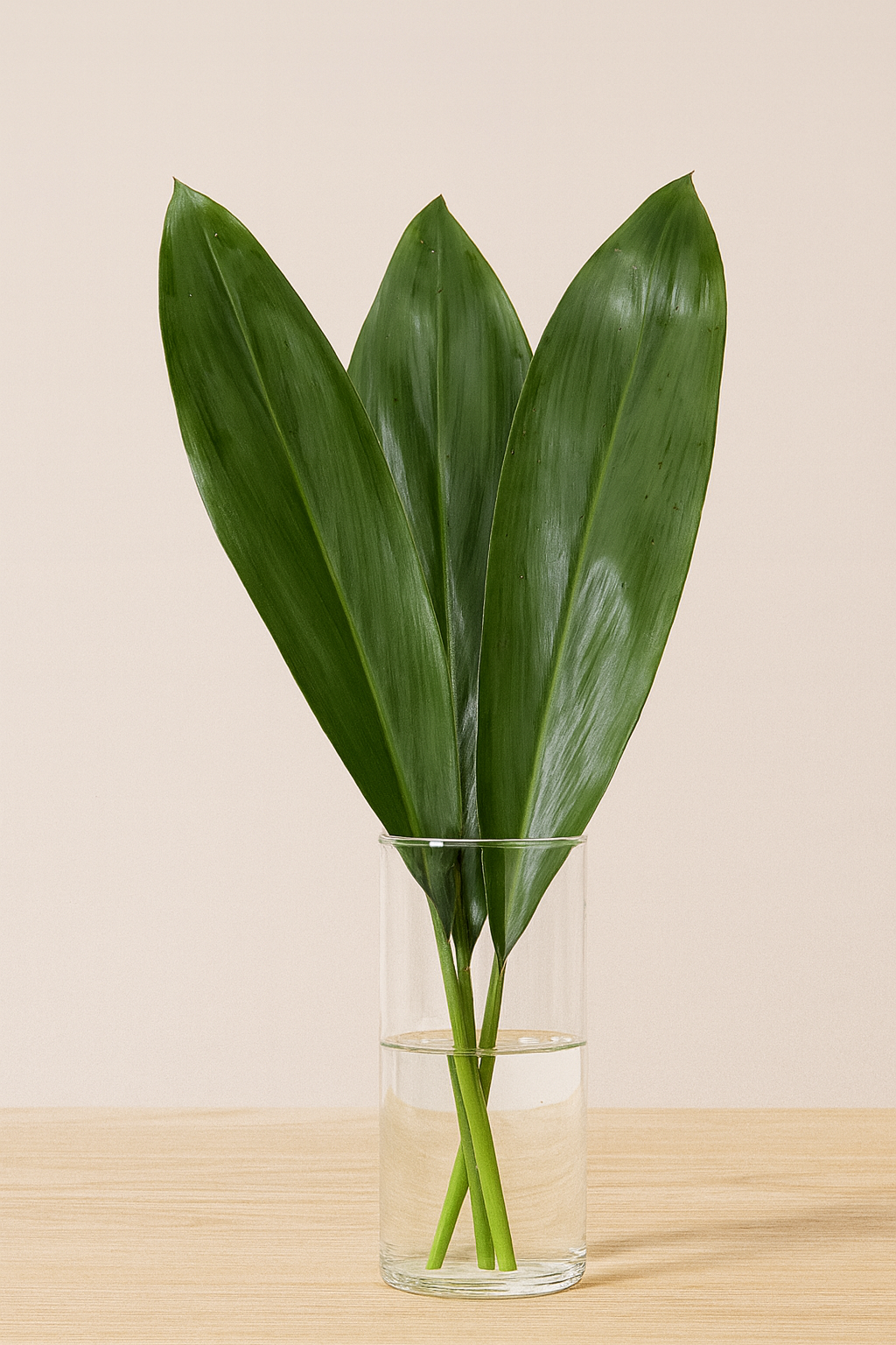 Green Ti Leaf Bunches – 10 Stems of Bold Tropical Foliage (26–32")