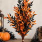Orange & Black Tinted Italian Ruscus – Fresh Cut Foliage