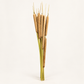Cattail Bunches