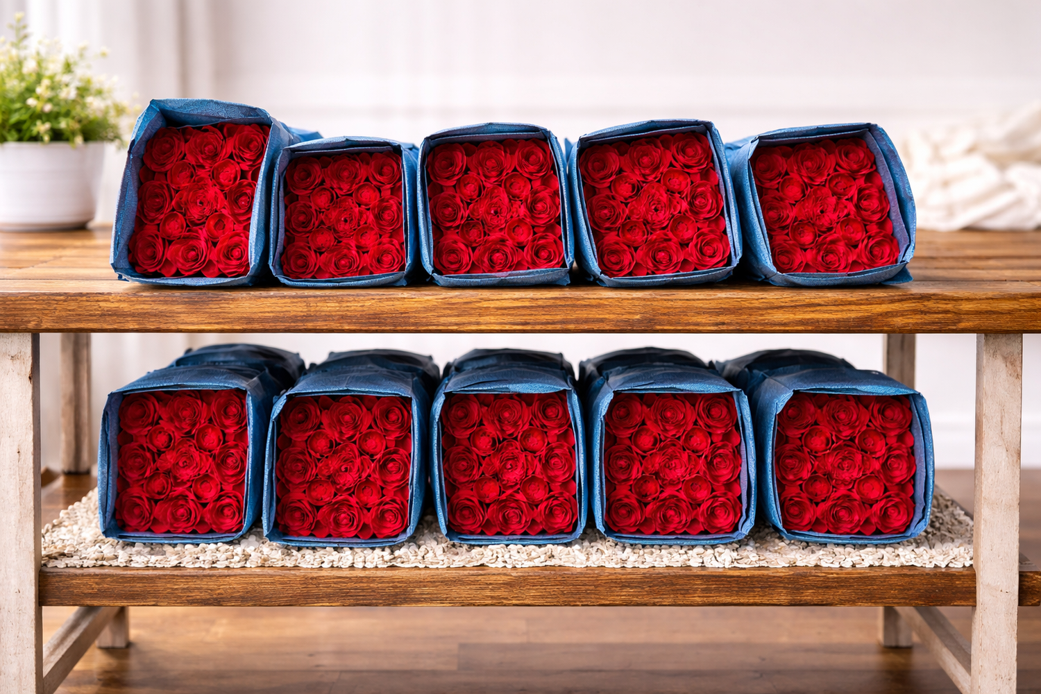 75 Farm-Fresh Red Freedom Roses – Ultra-Luxe Designer Bundle – FedEx Priority Overnight