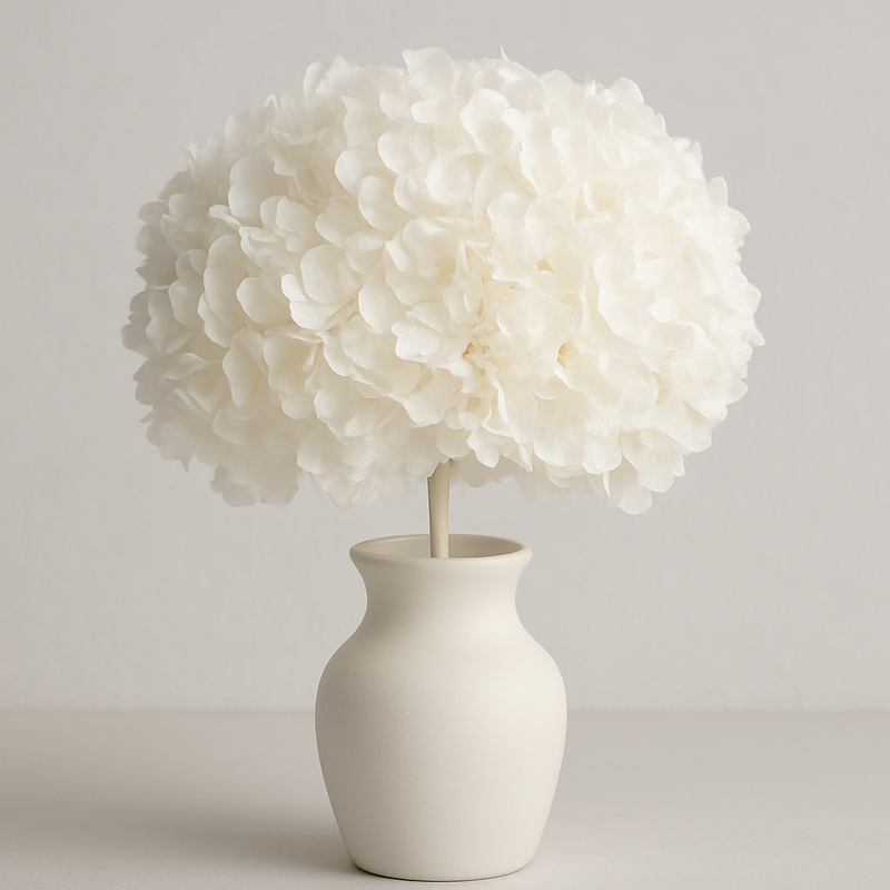 White Bleached Preserved Hydrangeas